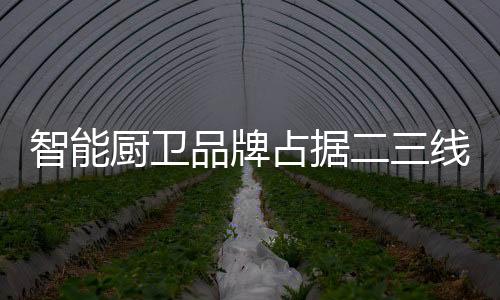 经过多年的品牌网络布局