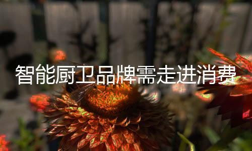 厨卫持续我们看到很多广告