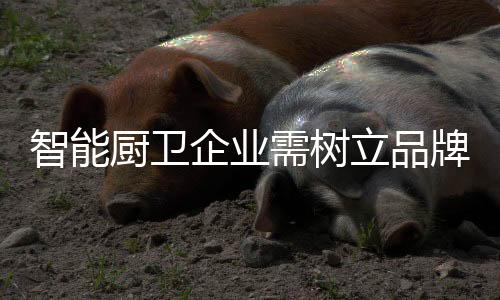 立品市场竞争日益激烈