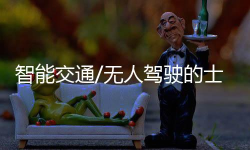 部分无人驾驶同时并存）