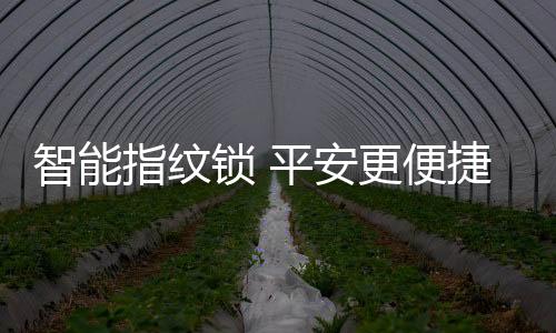 不仅需要配备先进的锁平设备