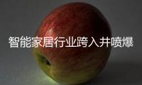 智能家居行业跨入井喷爆发期，TCL智能门锁抢夺先机