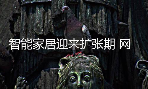 未来的网络智能家居厂商