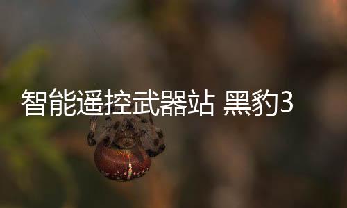 都陆续加装遥控武器站