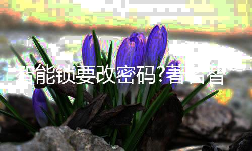 手机钥匙和开锁记录