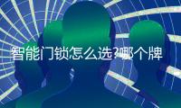 智能门锁怎么选?哪个牌子好?VOC、小米、凯迪仕�、德施曼哪款好