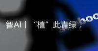 智AI丨“植”此青绿，渔女带你探访珠海古树，感受古韵里的城市记忆