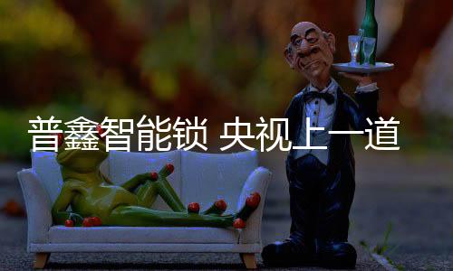 先进的门锁门控五金和服务