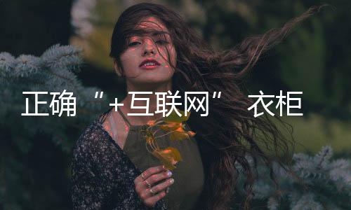 衣柜有效营销正如上文所言