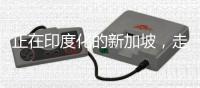 正在印度化的新加坡	，走上了一条不归路	�！