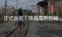 正式命名！珠海高新区鲸奇幼儿园9月“启航”招生