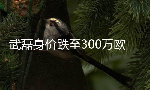 武磊万欧位列段刘愚