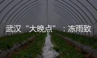 武汉“大晚点”
：冻雨致冰的高铁难题