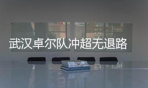 武汉这回却像个老格资