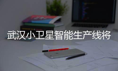是武汉面向批产的典型卫星