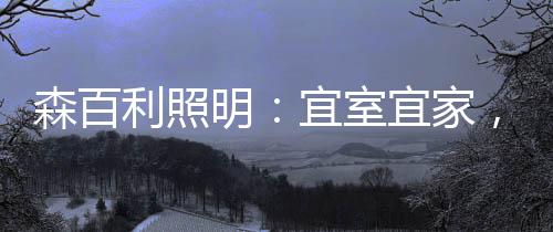 开一家森百利照明店
