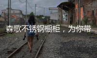 森歌不锈钢橱柜，为你带来沉浸式收纳体验
