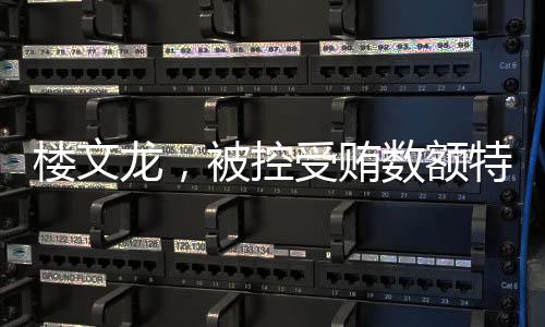 楼文龙中国银监会工作