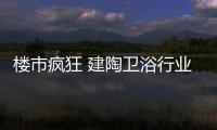 快排公司十年历程，霸屏兔 seo 的崛起与坚守