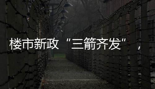 新政目前在一线城市
