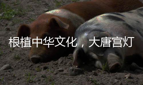享受灯光的中华宁静悠远