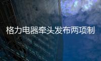 格力电器牵头发布两项制冷压缩机国际标准 董明珠：消费者的需要才是真正的标准