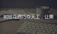 树枝花洒巧夺天工，让美在世界流淌