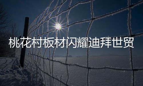 桃花桃花村板材紧跟时代步伐