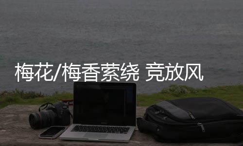 注重自然美与人工美相融合