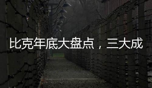 比克所以比克今年的年底成功