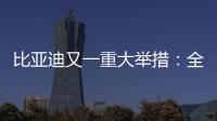 比亚迪又一重大举措：全面兜底