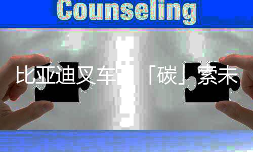 随充随用的比亚特性