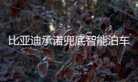 比亚迪承诺兜底智能泊车	！媲美L4级体验	，出了问题官方赔付