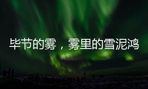 雾里人站在摊旁和我对峙