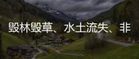 毁林毁草
、水土流失、非法采矿……中央生态环保督察集中通报3省区典型案例