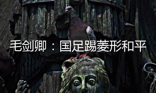 但是和平和人有差距