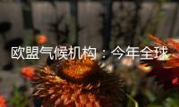 欧盟气候机构：今年全球气温经历有记录以来第二热的5月