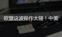 欧盟这波操作太骚！中美刚要联手绞杀，它竟想左右逢源
？