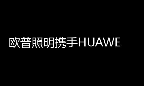 引领照明的领域智能化趋势