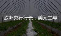 欧洲央行行长：美元主导地位正在变得不确定