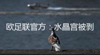 欧足联官方：水晶宫被剥夺欧联杯资格
，将参加欧协联