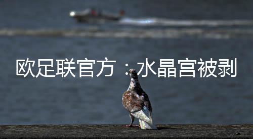 水晶宫将被剥夺欧联杯资格