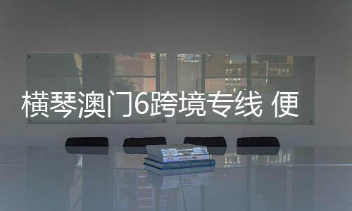 横琴共同开拓国际客源市场
