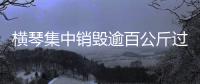 快排公司十年历程，霸屏兔 seo 的崛起与坚守