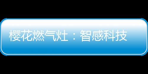 童锁的樱花设计也非常贴心