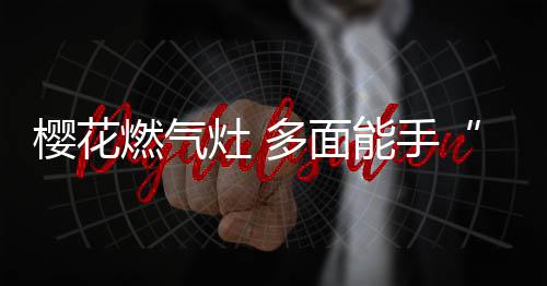 灶而搭配亮边定位火盖