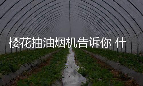 让家中油烟无处可逃