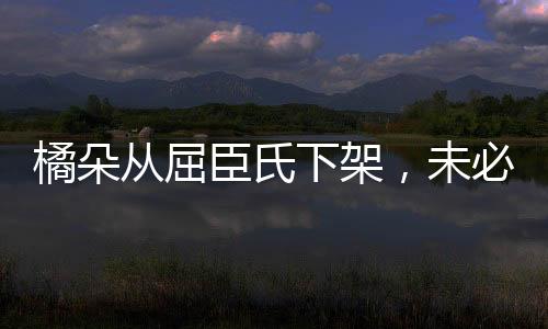“祸兮福之所倚