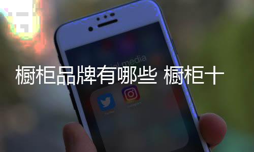 中国整体定制家具行业领先者