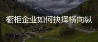 橱柜企业如何抉择横向纵向发展？